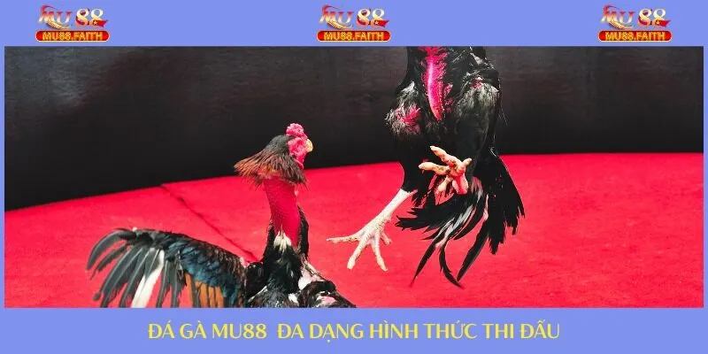 Nhiều hình thức được cập nhật ở các sảnh