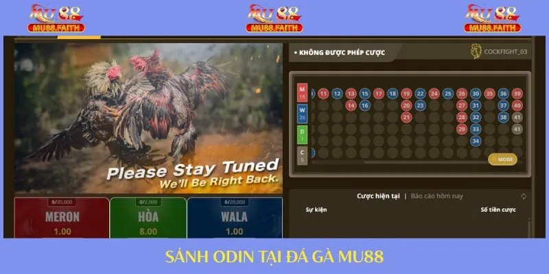 ODIN đẳng cấp với giao diện hiện đại