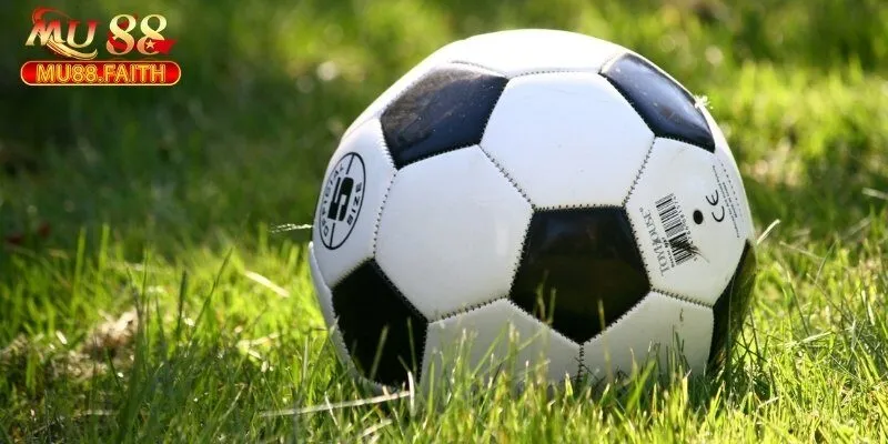 Kèo châu Á: Đặc điểm, ưu nhược điểm