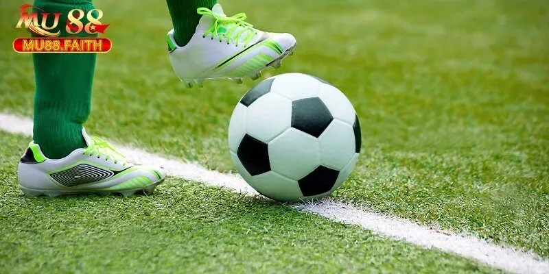 Kèo Rung Là Gì Và Top 3+ Kinh Nghiệm Cá Cược Hiệu Quả Cao 3 Bật mí top 5 mẹo đánh rung chuẩn dân chuyên