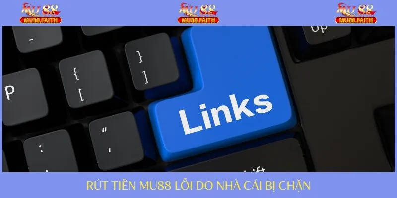 Trang cá cược quá tải về truy cập